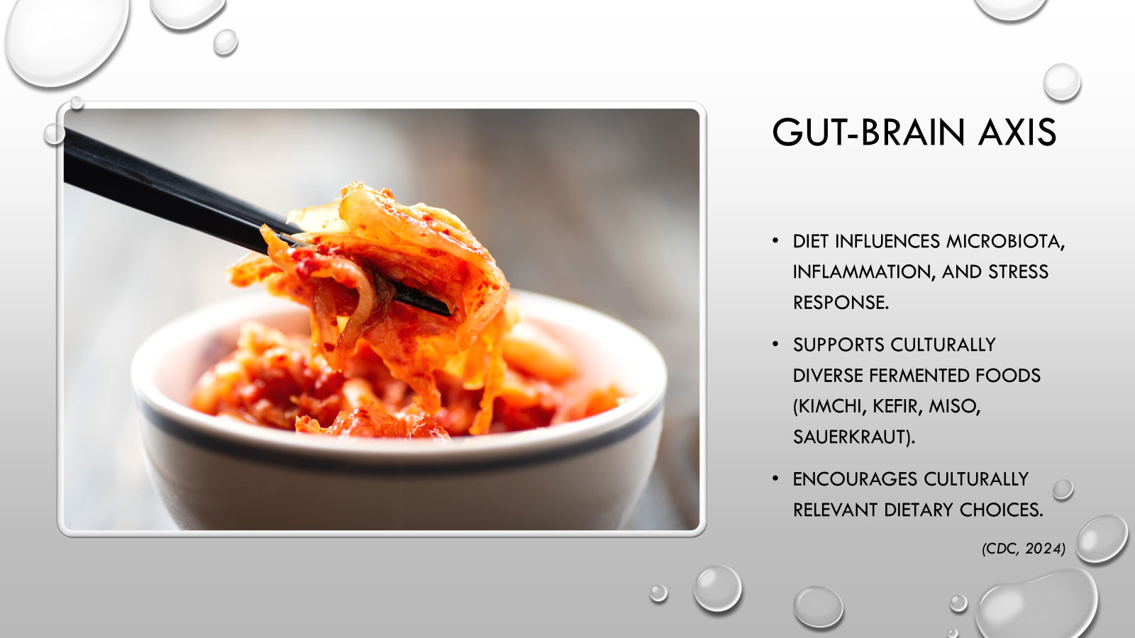 Slide image for The Gut–Brain Axis and Culturally Relevant Foods